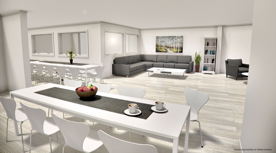 3D-tegning - Illustrasjon av fellesområdet